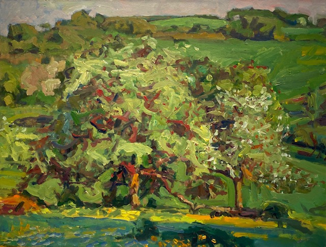 Ricardo Cavallo