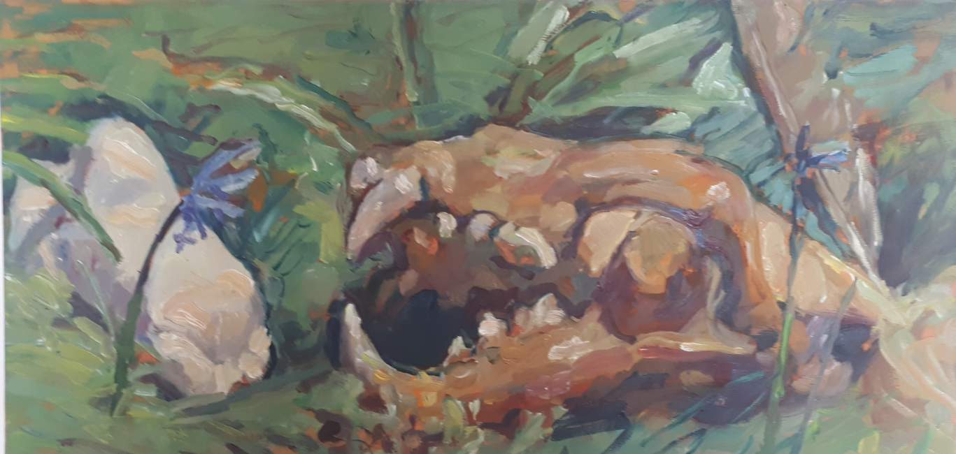 Ricardo Cavallo