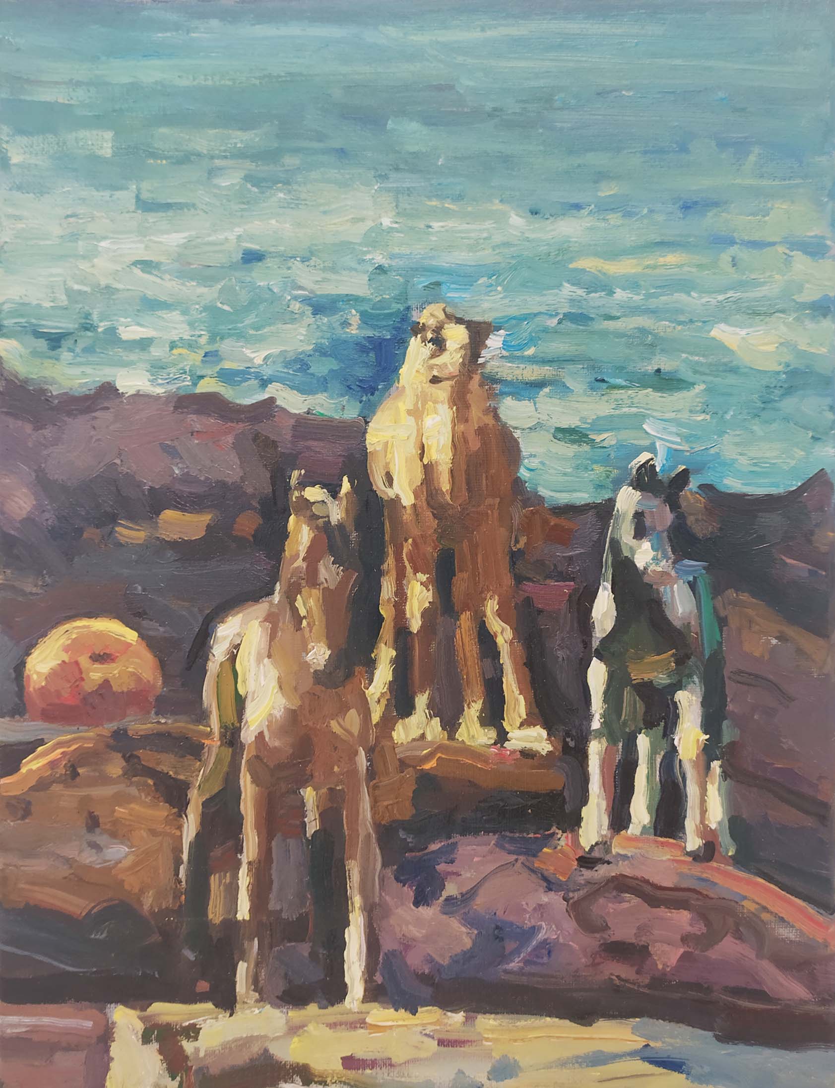 Ricardo Cavallo