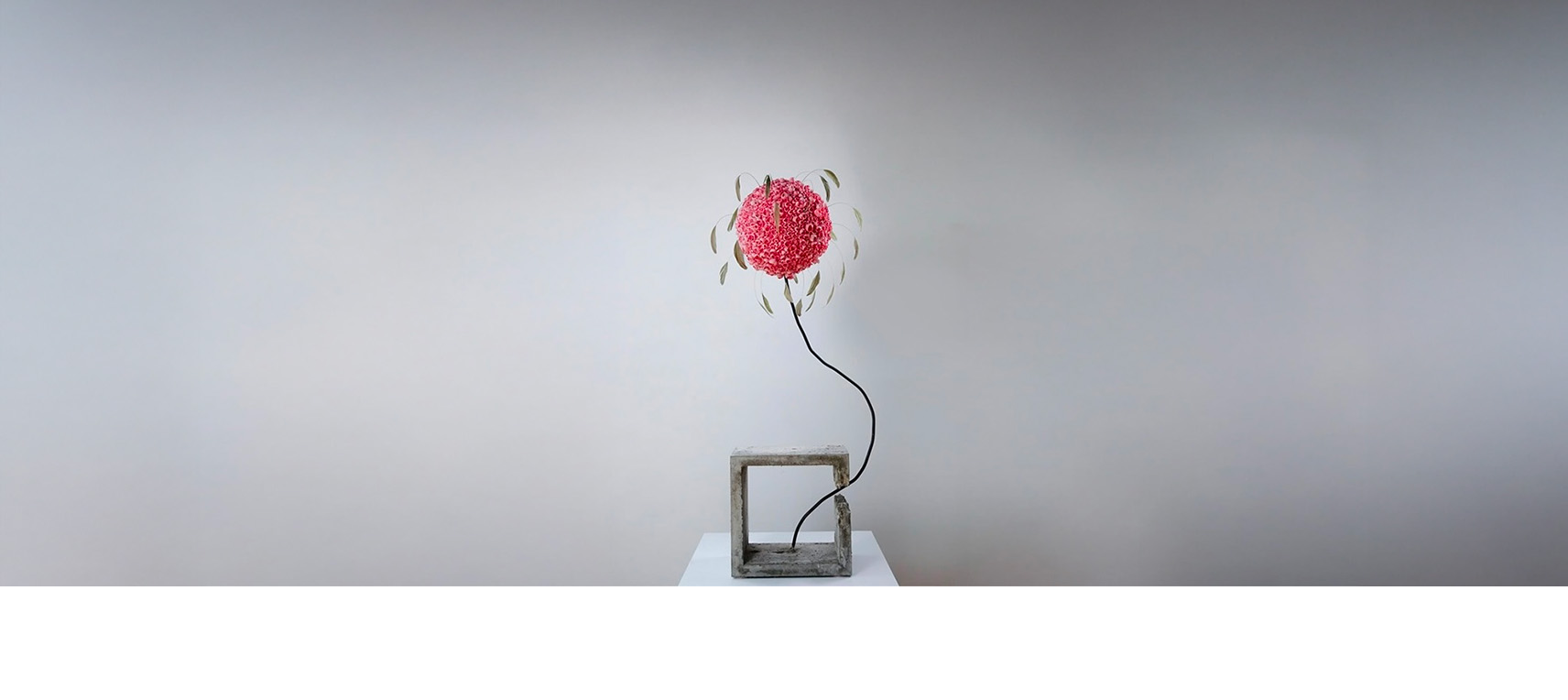 Fleurs des villes